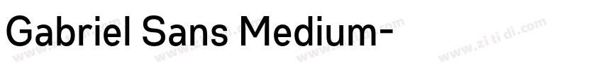 Gabriel Sans Medium字体转换